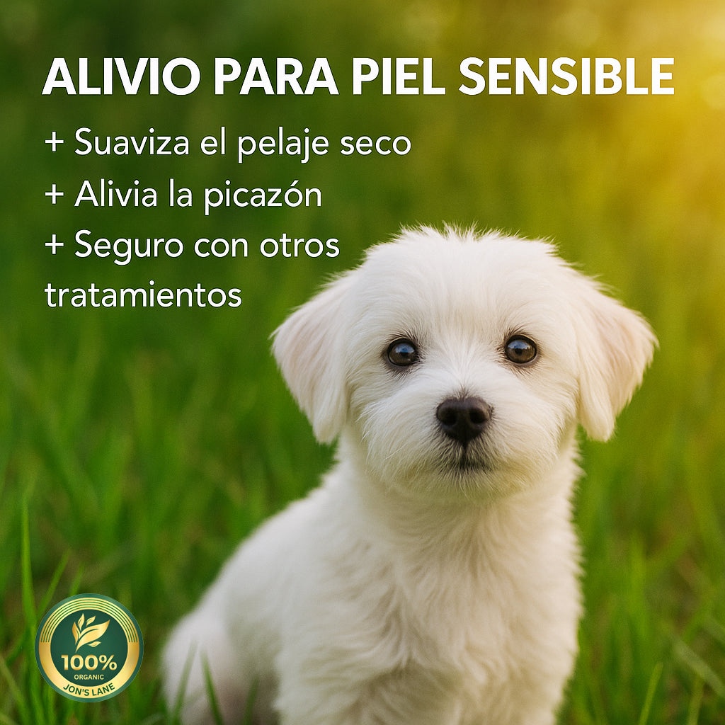Champú hipoalergénico para perros
